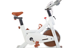 Indoor Fitness Hot Sale Smart Dispaly Spin Bike Home Exercise White